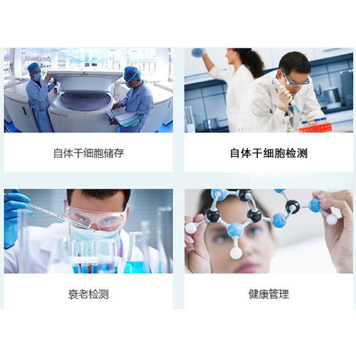 脐带间充质干细胞保存与河北盛世利众生物信息咨询服务解析
